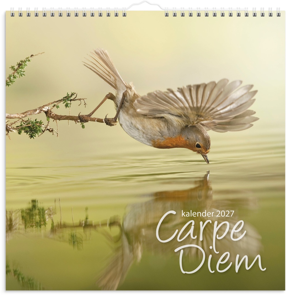 Väggkalender 2027 Carpe Diem Burde