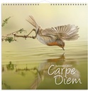 Väggkalender 2027 Carpe Diem Burde
