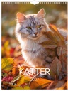 Väggkalender Stora Kattkalendern 2027 Burde