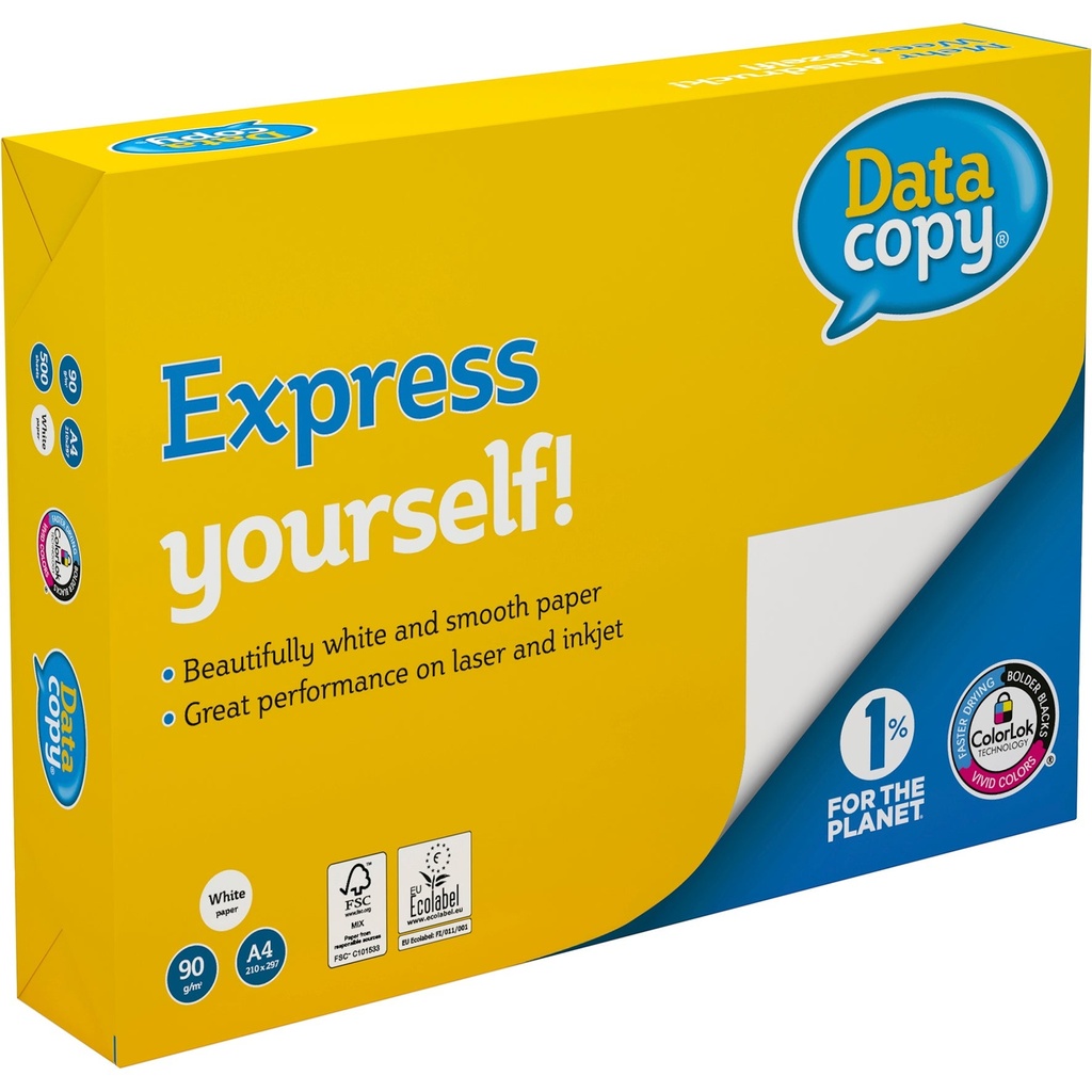 Papper DataCopy A4 100g 500/fp