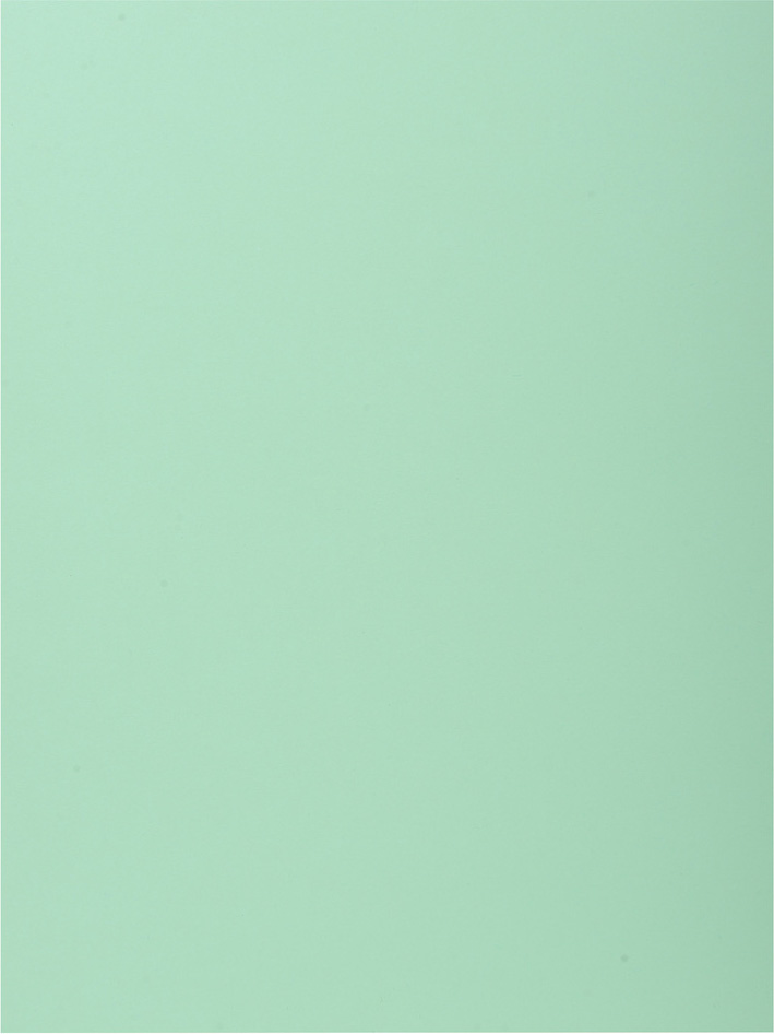 [2044133] Mapp A4 kartong 1 klaff grön