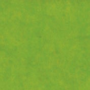 [8300224] Silkespapper 50x70cm ljusgrön 25/fp
