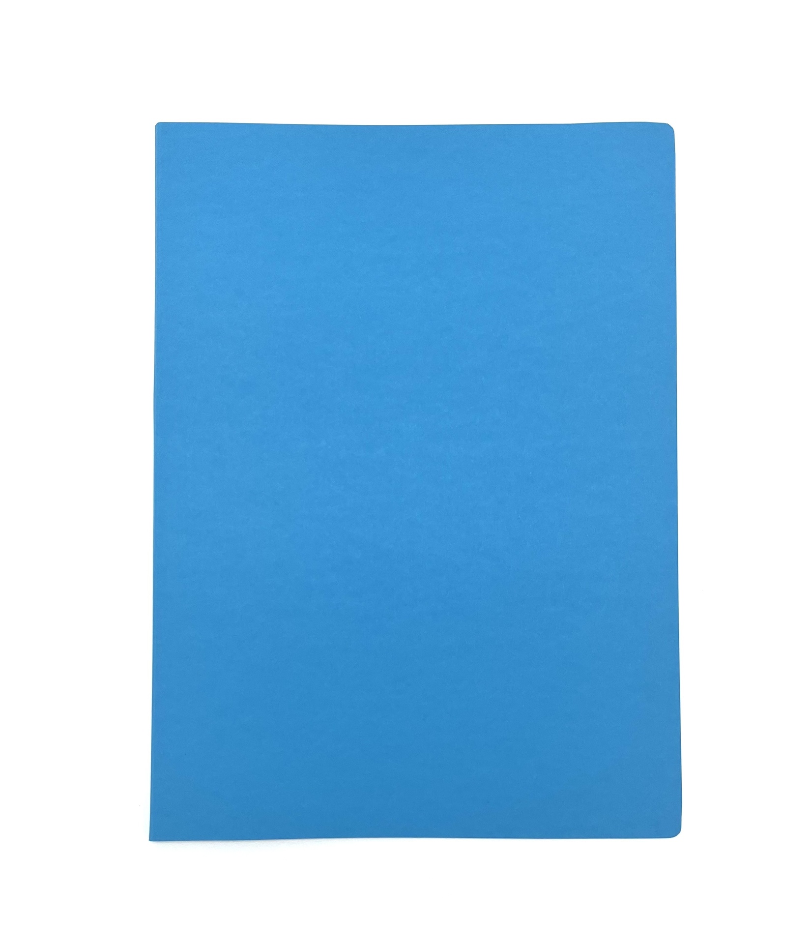 [EECEV001] Kartongmapp blå jungfruben & vit skena 10st/fp