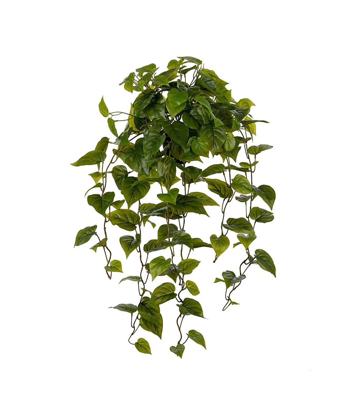 [8563469] Konstväxt Gullranka 100 cm