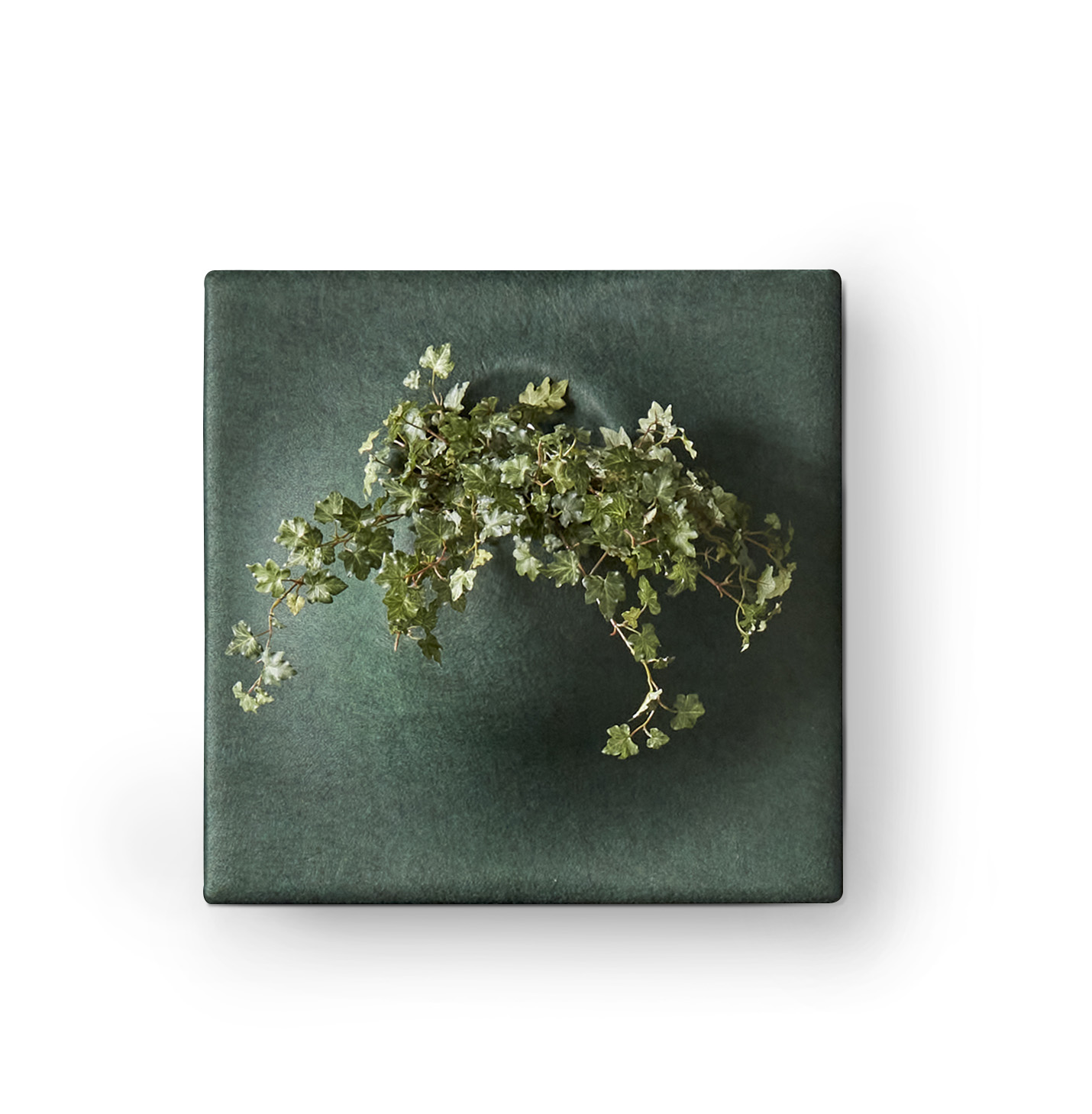 [8563443] Ljudabsorbent moss 58*58*21cm