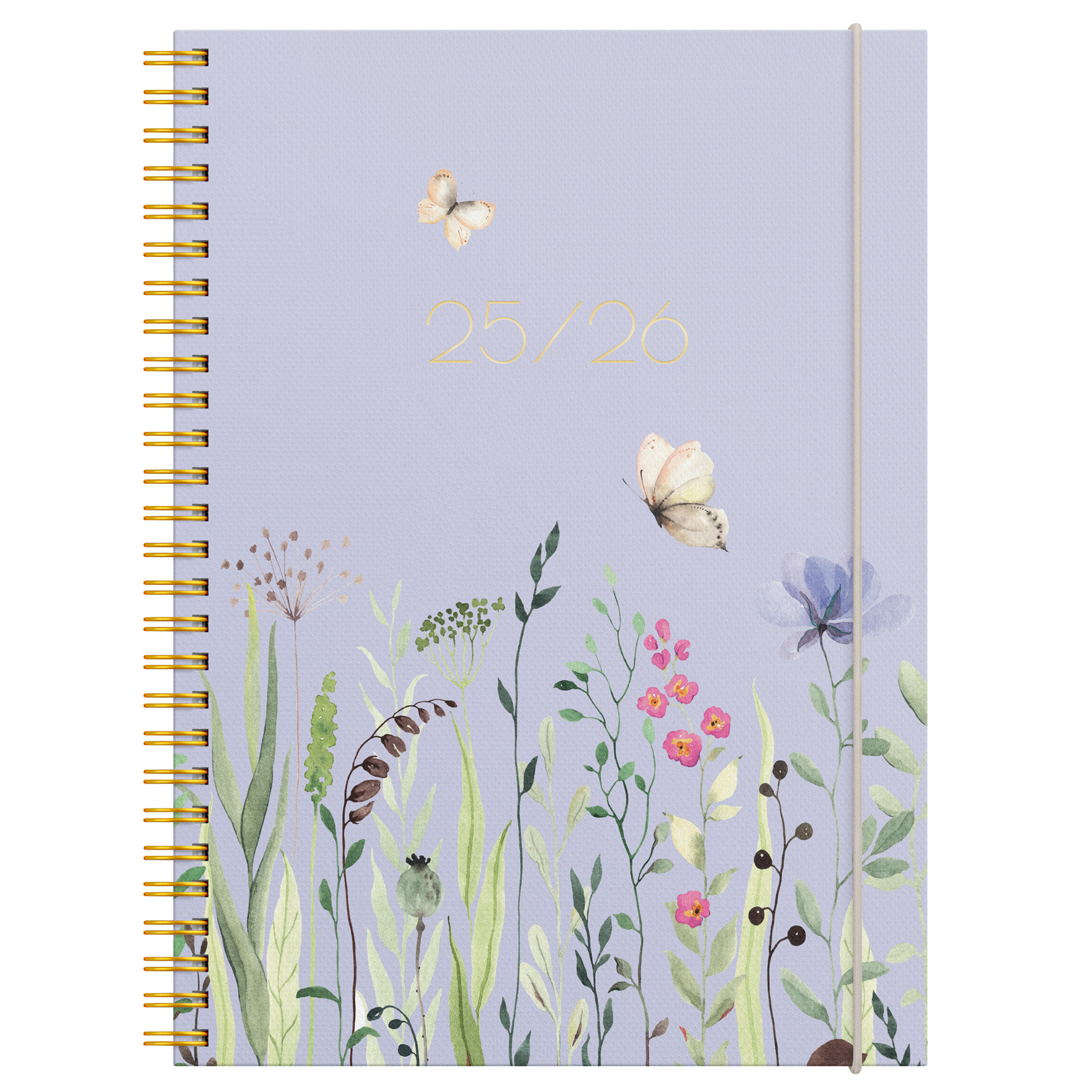 [60806126] Study Story Äng A5 25/26