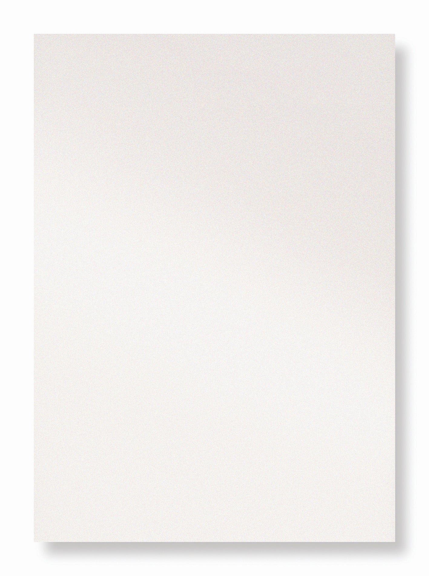 [2460340] Plastomslag A4 vit 300mic 100f