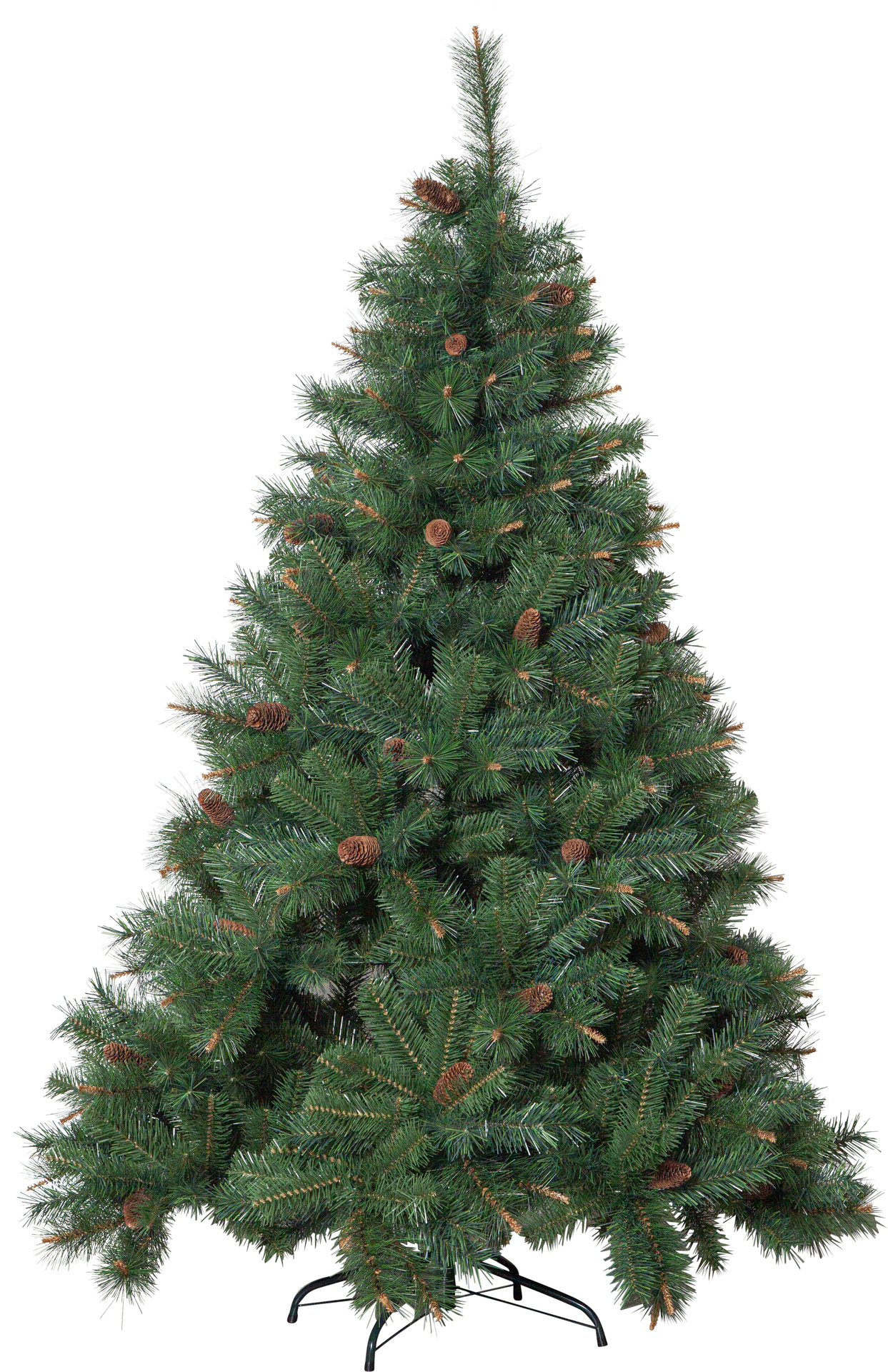 [8562414] Julgran Toronto