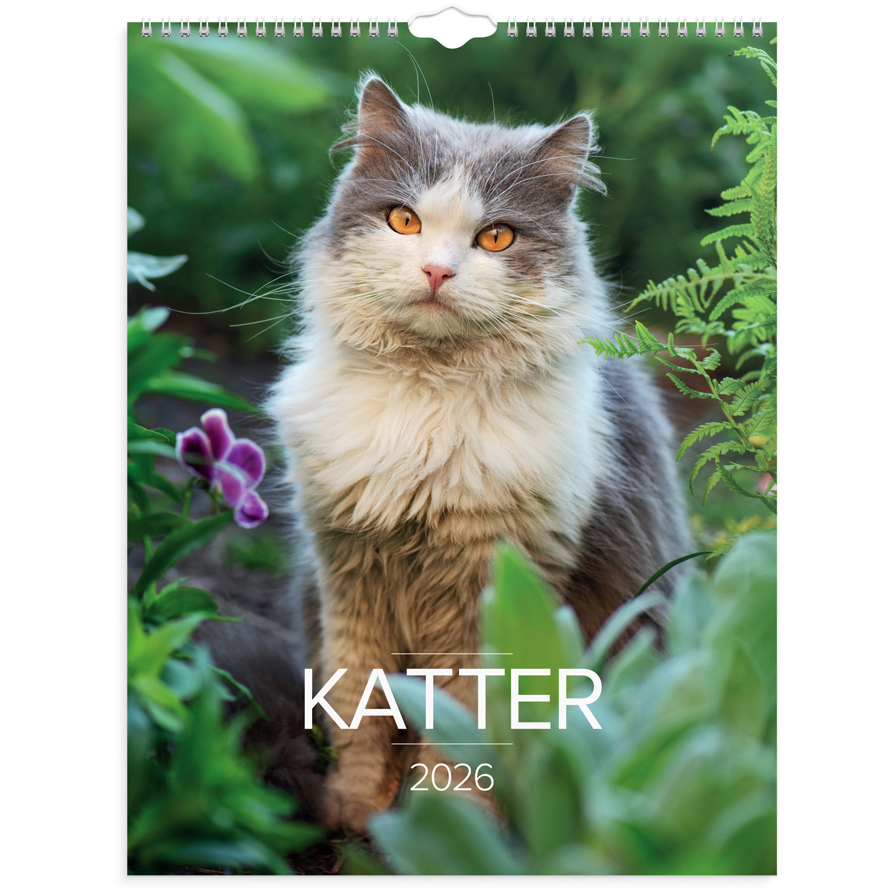 [61177526] Stora Kattkalendern 2026 vägg