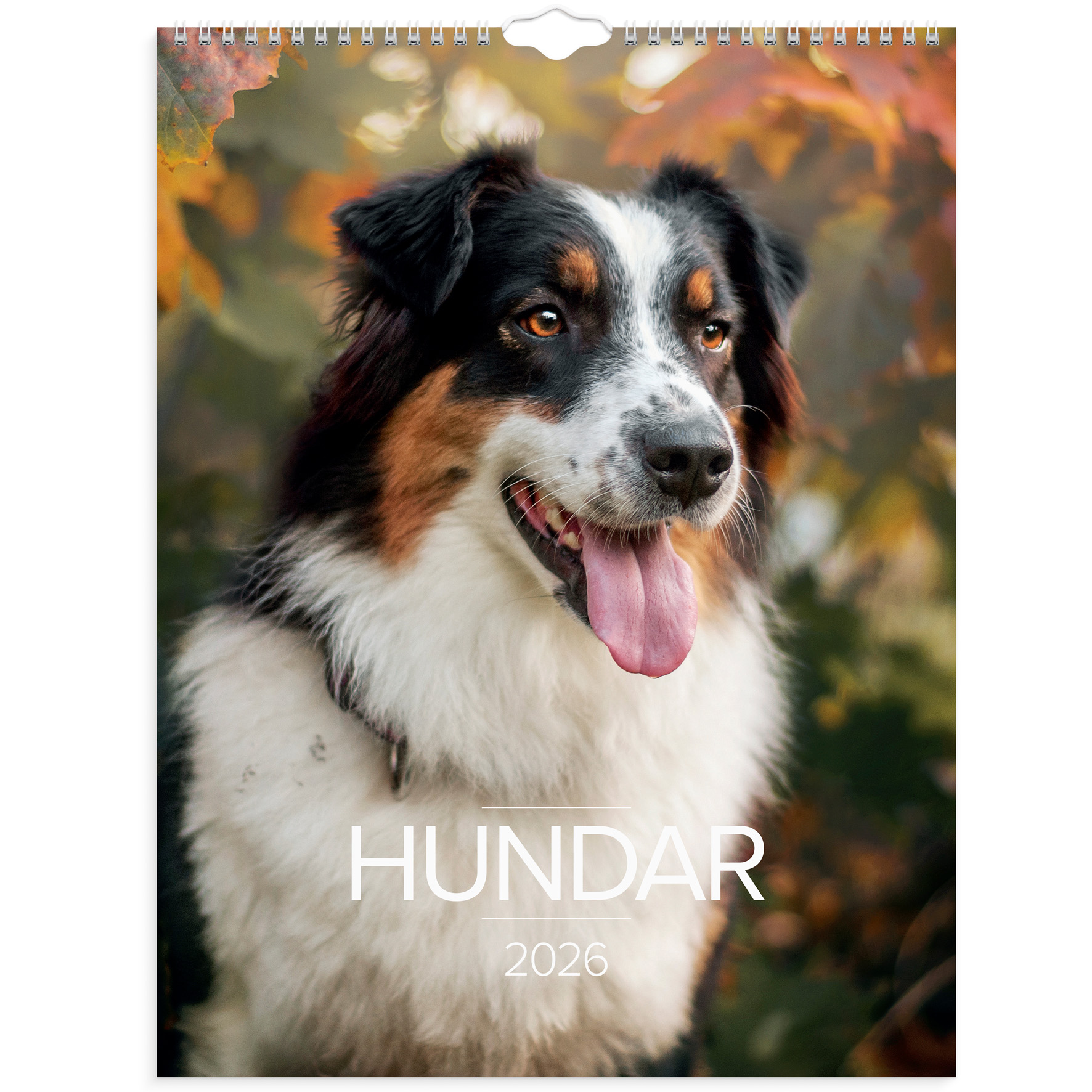 [61177726] Stora Hundkalendern 2026 vägg