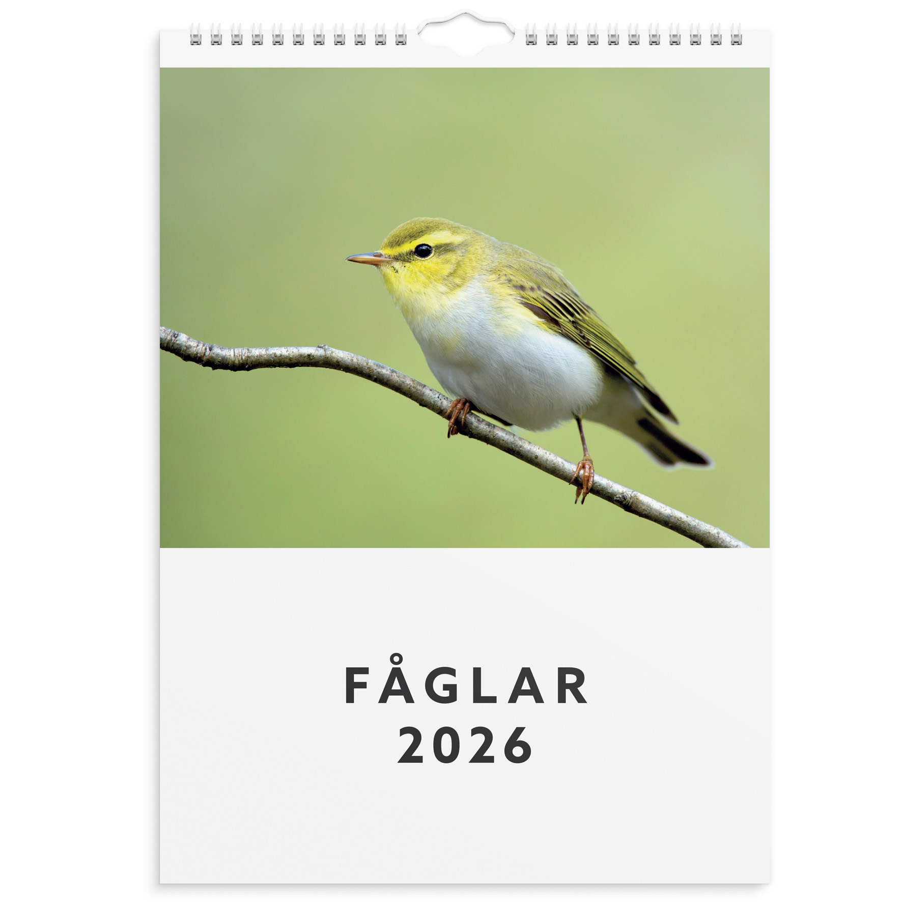 [61178626] Väggkalender 2026 Fåglar